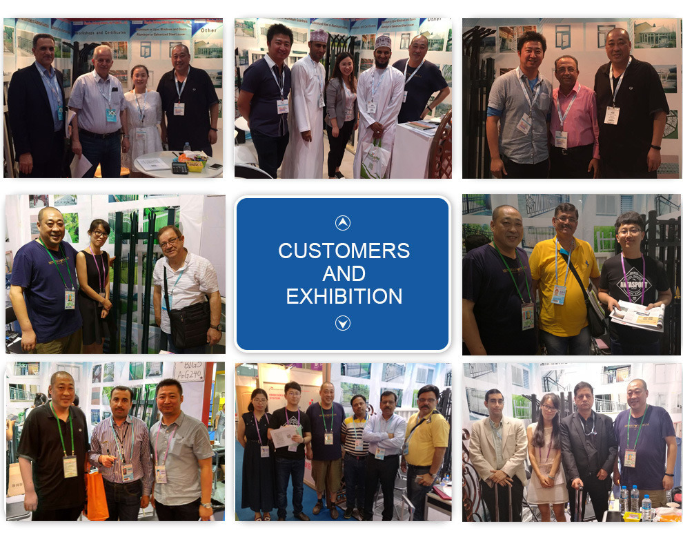 Suministro de f&aacute;brica, cercas de hierro, puertas