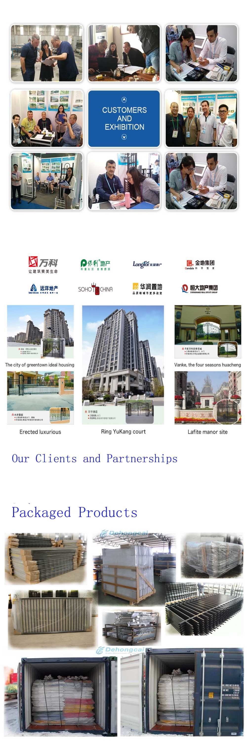 Puertas personalizadas de hierro forjado Casa Puertas correderas de entrada de seguridad usadas