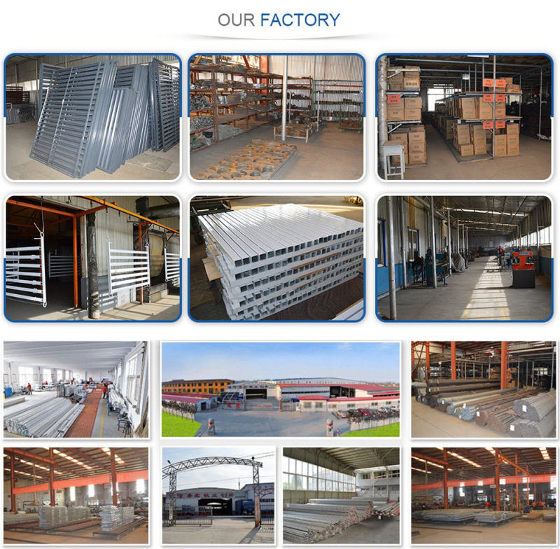 Exterior Balc&oacute;n de hierro forjado / barandilla de hierro